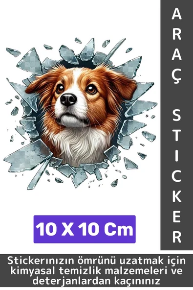 Özel Tasarım Araç Dış Modifiye Eğlenceli Yaratıcı Şık 3D Evcil Hayvan Kedi Köpek Sticker 10 X 10 Cm - 1