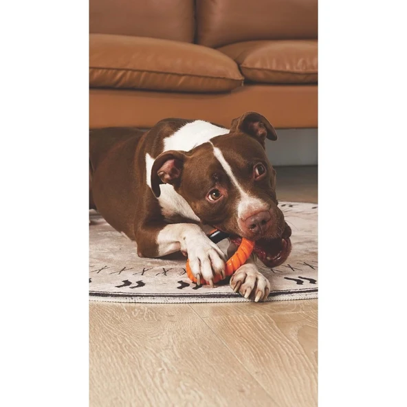 M-PETS RING KING KÖPEK OYUNCAĞI SINGLE ORANGE/BLACK - 4