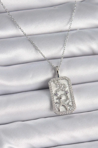 316L Çelik Gümüş Renk Zincir Oğlak Burcu Zirkon Taşlı Kadın Kolye ürün görseli 1