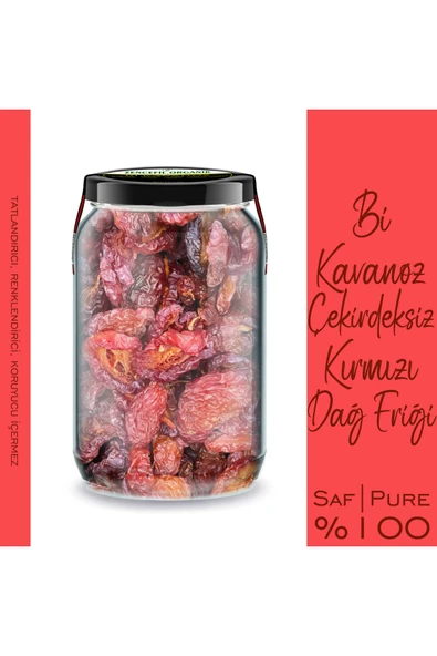 Kırmızı Dağ Eriği Çekirdeksiz Bi Kavanoz 660 CC. Cam Kavanozda Ekşi Erik Kurusu Kırmızı Erik - Resim 2
