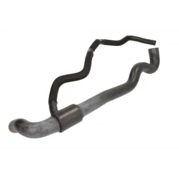 Renault Radyator Alt Hortumu Clio IV / Captur 1,5 DCI - Kraftvoll 10031357 ürün görseli