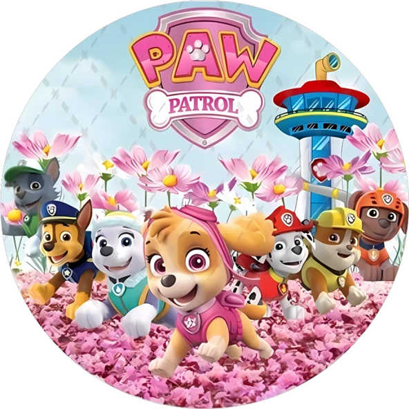 Yenilebilir Yuvarlak Pasta Resim Baskısı 20 cm Şekerli Kağıt Paw Patrol Temalı 35 ürün görseli 1