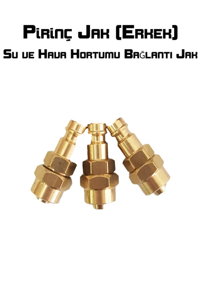 Pirinç Jak (Erkek) - 2