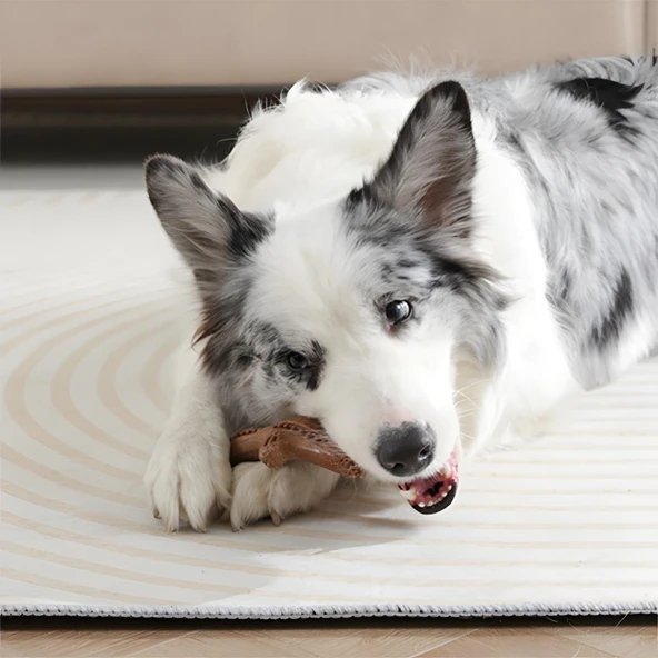 M-Pets Chewood Large Branch Köpek Oyuncağı - 5