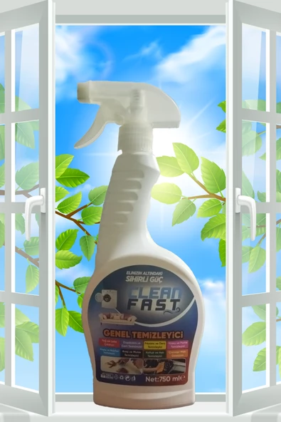 Cleanfast Genel Temizleyici - 2