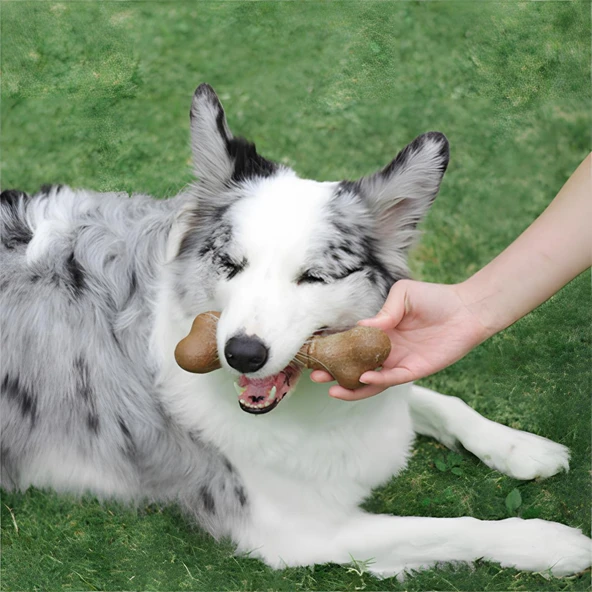 M-Pets Chewood Large Bone Köpek Oyuncağı - 6