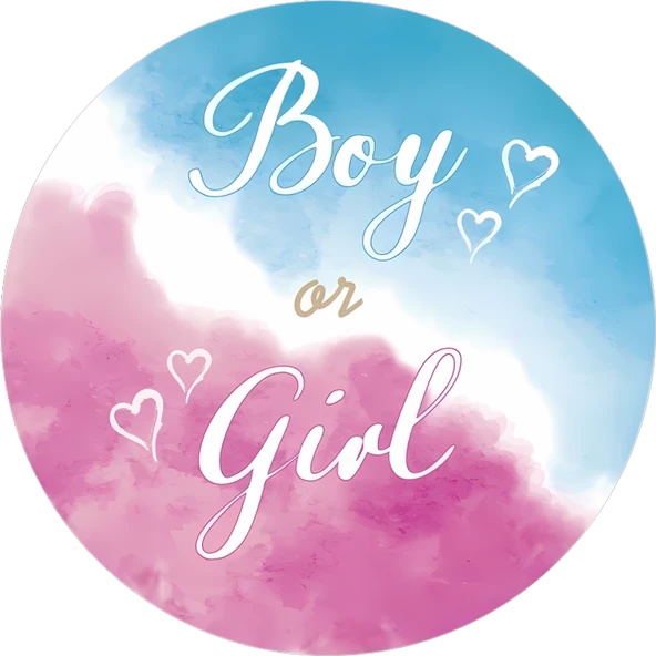 Yenilebilir Yuvarlak Pasta Resim Baskısı 20 cm Şekerli Kağıt Cinsiyet Temalı 56 ürün görseli