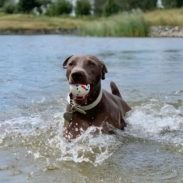 M-Pets Bloom Ball Oyun Topu Parçalanmaz - 3
