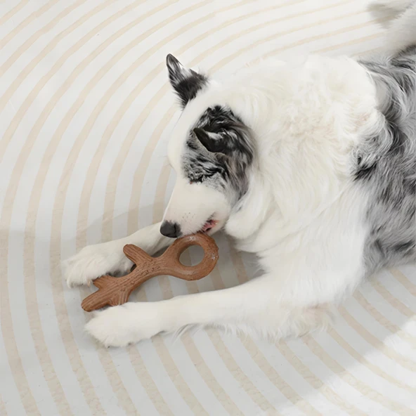 M-Pets Chewood Large Branch Köpek Oyuncağı - 4