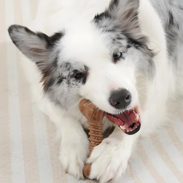 M-Pets Chewood Large Bone Köpek Oyuncağı - 5