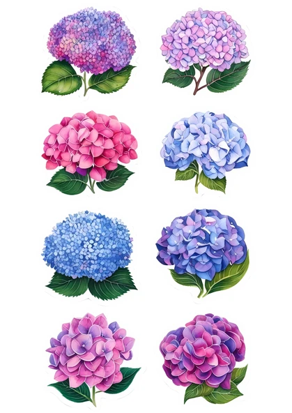 Yenilebilir Şekerli Kağıt Baskısı Cupcake ve Pasta Resim Baskı Çiçek Temalı 09 ürün görseli