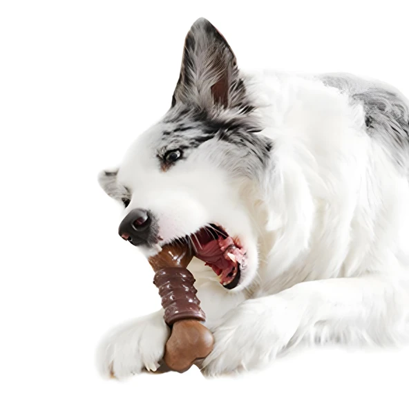 M-Pets Chewood Small Bone Rubber Köpek Oyuncağı - 4