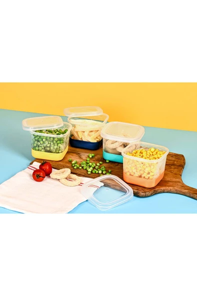 İGLO DERİN DONDURUCU KABI 600 ML ürün görseli 1