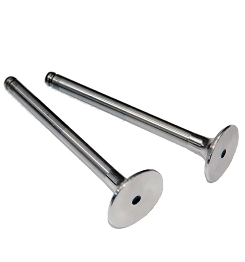 Renault Subap Takımı R19 Dizel Kangoo 1,9 (in 4 / Ex 4) - Gunes 4686-4687 ürün görseli 1