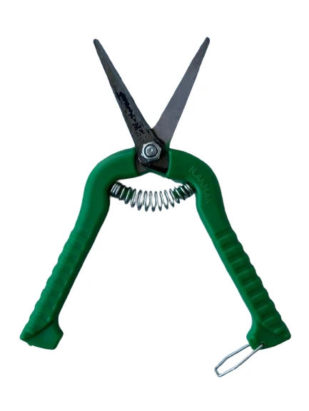 BUDAMA MAKASI ÜZÜM N.AKMAN YEŞİL - Resim 4