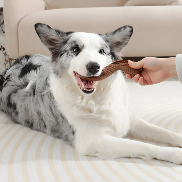 M-Pets Chewood Small Twist Köpek Oyuncağı - 4