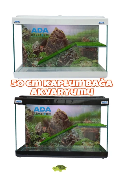 Ada Akvaryum Su Kaplumbağası Akvaryumu Bahçeli Rampalı Dinlenme  50x30x25 Cm  Arka Plan Hediyeli - 5