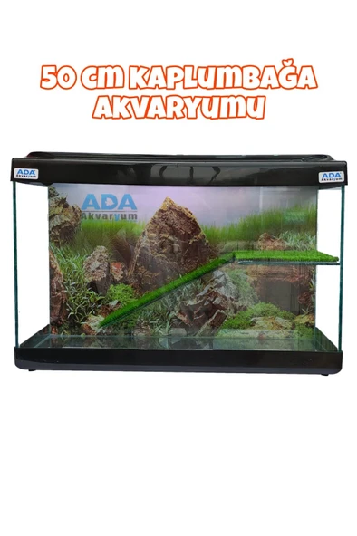 Ada Akvaryum Su Kaplumbağası Akvaryumu Bahçeli Rampalı Dinlenme  50x30x25 Cm  Arka Plan Hediyeli - 2