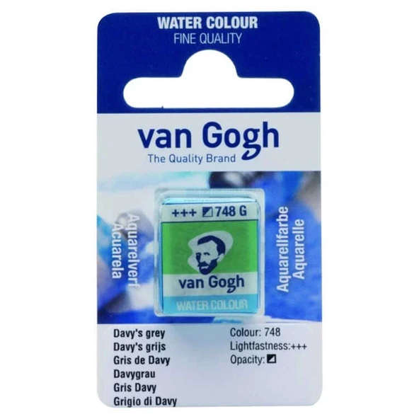 Supertrend Van Gogh 1/2 Tablet Sulu Boya 748 Davy's Grey - 1
