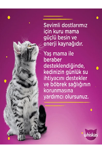 Whiskas Ton Balıklı Kedi Yaş Mama 10 Adet (1x85GR) - 2