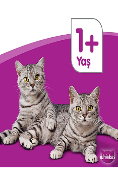 Whiskas Ton Balıklı Kedi Yaş Mama 10 Adet (1x85GR) - 3