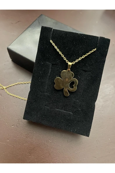 Vipfoni 3 Yapraklı Çelik Yonca Mutluluk Kolyesi ürün görseli