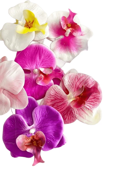 Vipfoni Orkide Çiçekli Aloha Büyük Mandal Toka 2 Adet ürün görseli