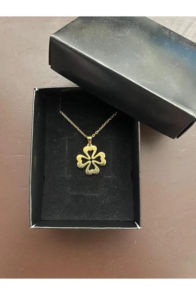 Vipfoni 4 Yapraklı Çelik Yonca Şans Kolyesi ürün görseli