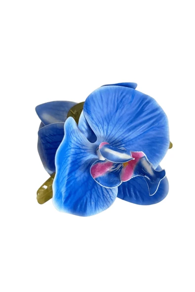 Vipfoni Orkide Çiçekli İnci Detaylı Aloha Yan Pens Toka 2 Adet - Resim 2