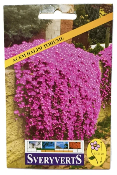 Vipfoni Acem Halısı Tohumu ürün görseli