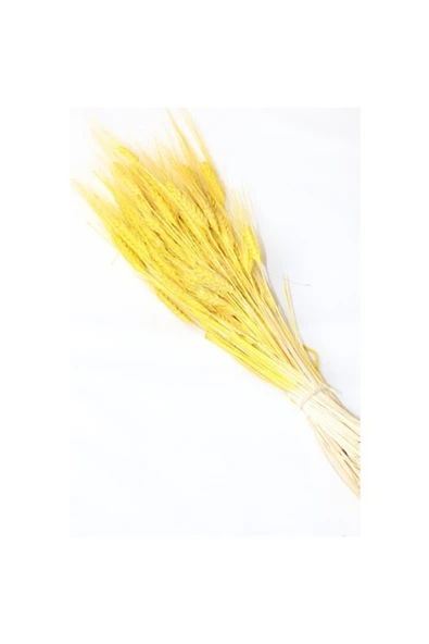 Vipfoni Kuru Başak Demeti ürün görseli