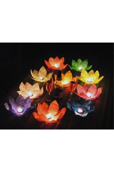 Vipfoni Nilüfer Su Feneri 25 Adet