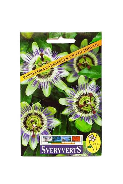 Vipfoni Passiflora Çarkıfelek Çiçeği Tohumu