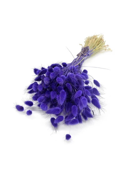 Vipfoni Kuru Pamuk Otu Demeti ürün görseli 1