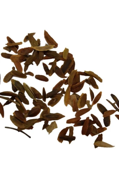 Vipfoni Mor Leylak Ağacı Tohumu - Resim 3