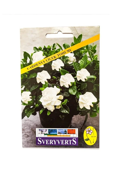 Vipfoni Gardenya Çiçeği Tohumu ürün görseli 1