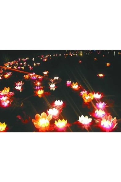 E-LİFE HOME Nilüfer (çiçek) Su Feneri 1 Adet