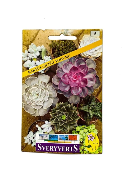 Vipfoni Sukulent Kaktüs Çiçeği Tohumu ürün görseli