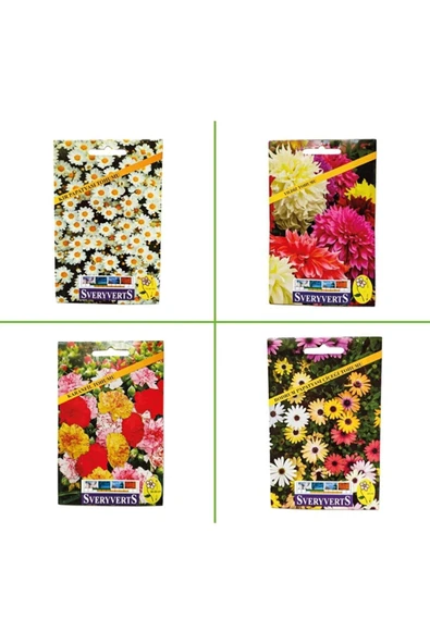 Vipfoni 4'lü Special Seri (kır Papatyası - Yıldız - Karanfil - Bodrum Papatyası Çiçeği Tohumları) ürün görseli