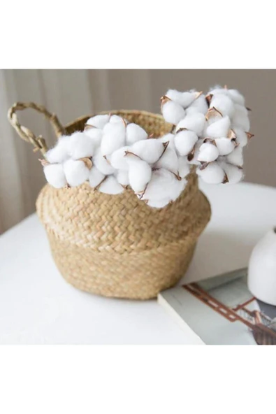 YENİ HEDİYELİK DÜNYAM Doğal Pamuk Çiçeği 10 Adet Tekli Dal Kuru Çiçek 30 Cm Yapay Çiçek - Resim 5