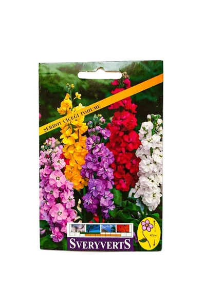 Vipfoni Şebboy Çiçek Tohumu ürün görseli