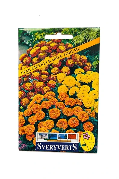 Vipfoni Ufak Çiçekli Kadife Tohumu ürün görseli