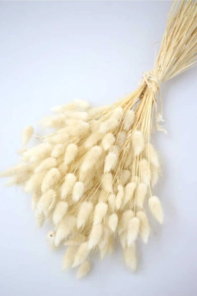 Vipfoni Kuru Pamuk Otu Demeti ürün görseli