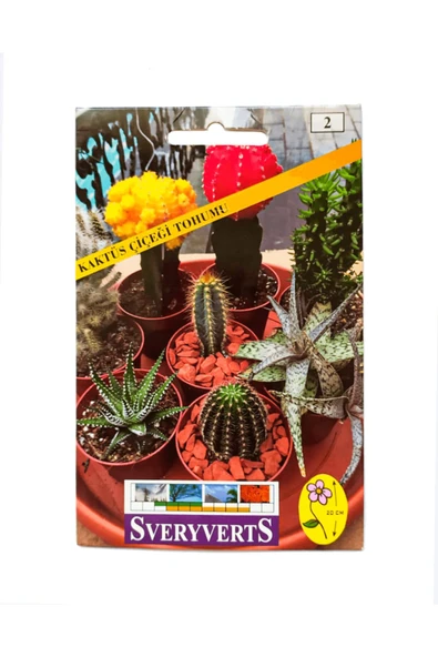 Proll Birinci Kalite Sukulent Kaktüs Çiçeği 5 Tohumu ürün görseli