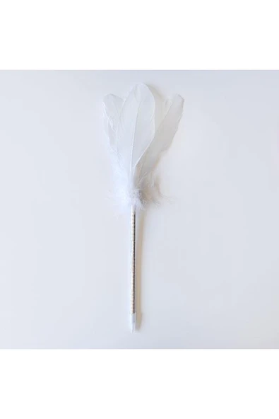 Vipfoni Gelin Boş Anı Defteri Ve Kalemi - Resim 2