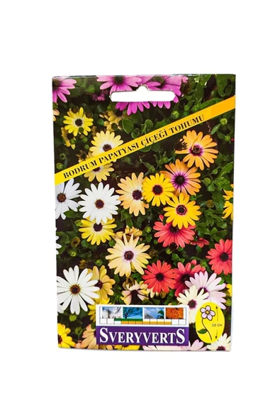 Vipfoni Bodrum Papatyası Çiçeği Tohumu ürün görseli 1