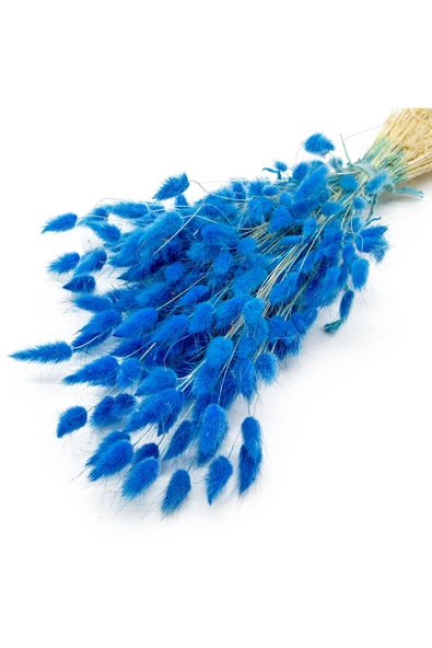 Vip Aksesuar Kuru Pamuk Otu Demeti ürün görseli