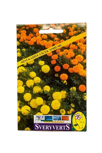 Vipfoni Kadife Mini Çiçekli Tohumu ürün görseli