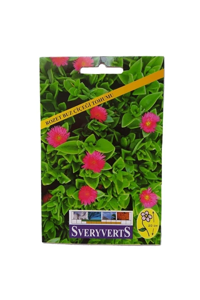 Vipfoni Rozet Buz Çiçeği Tohumu ürün görseli