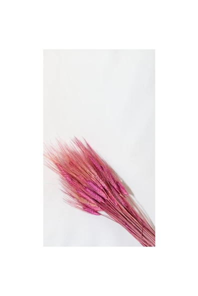 Vipfoni Kuru Başak Demeti ürün görseli